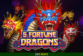 img-5 Fortune Dragons